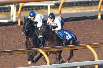 【東スポ杯2歳S】クロワデュノールは半馬身先着　斉藤崇調教師「良くなってきているところかなという感じ」