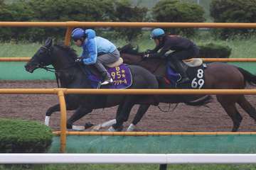 【札幌記念】シャフリヤール復活Ｖへ「順調」　楽な手応えで１馬身半先着