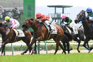 【2歳次走報】キタノクニカラは京王杯2歳Sへ