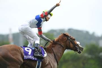 【産経賞セントウルSの注目点】GⅠ馬2頭に昨年覇者も出走！　秋の大舞台に弾みをつけるのは？