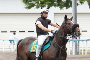 オジュウチョウサンの半妹スターチョウサンが武豊騎手で８・１３札幌デビュー