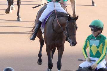 【菊花賞】ダービー３着ハーツコンチェルトは６着　松山弘平騎手「勝負どころで後ろの馬と接触して…」