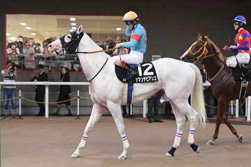 【プラタナス賞】白毛馬アマンテビアンコは３着　ルメール騎手「まだ良くなると思います」