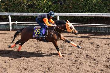 【大阪杯】スタニングローズは坂路でシャープに伸びてラスト１１秒９　高野師「さすがＧⅠ馬だな」