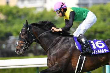 【天皇賞・春】登録馬のレーティング発表　タイトルホルダーが１２４ポンドで１位