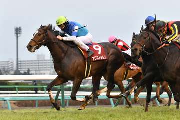 アリストテレスが引退、今後は阪神競馬場で乗馬に　２０２１年のＡＪＣＣを制覇