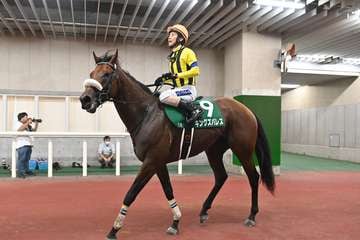 【3歳以上次走報】キングズパレスは天皇賞・秋を視野