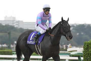 【３歳以上次走報】ナムラクレアは来年の京都牝馬Ｓか阪急杯で始動