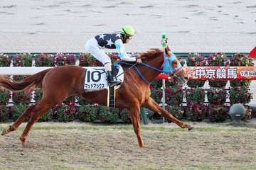 【POG調査隊】未勝利戦快勝のマッドマックス　中2週で2月1日の白梅賞へ