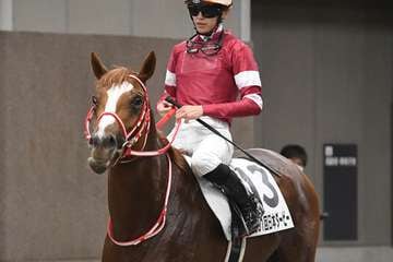 シンエンペラーは坂井瑠星騎手でアイリッシュチャンピオンＳから凱旋門賞を予定