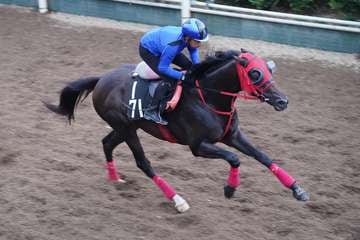 【セントライト記念】エコロヴァルツ、軽やかな脚取りで反応良くラスト12秒2