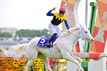 【ヴィクトリア】白毛の女王ソダシは大外の８枠１６番、２冠牝馬スターズオンアースは１枠２番　枠順確定