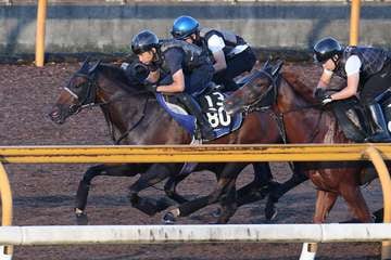 【ローズS】タガノエルピーダ3頭併せで好気配　4週続けてCWコースでラスト11秒台