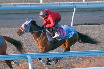 【フェアリーS】ミーントゥビー馬なりで先着　堀内調教師「良かったです」