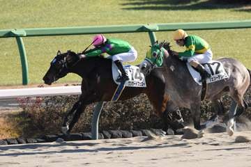 【2歳新馬・中山6R】ゴール前の大接戦を制してV　ワンカードフェロー人気に応える