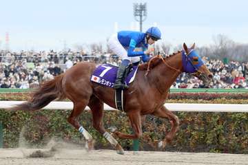 【ドバイゴールデンシャヒーンの注目点】日本馬初の制覇目指してＧⅠ馬レモンポップが出走！ 