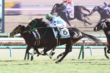 【3歳1勝クラス・中山7R】モジャーリオが芝に戻って2勝目をマーク　菅原明良騎手「芝の方が切れる脚を使える」