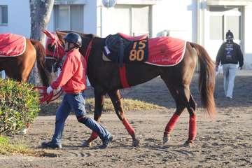 フィッシャーズ・ンダホ所有馬ワンダホーは中山３週目で初陣へ