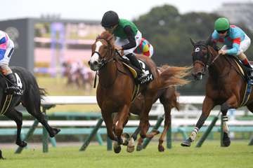 【2歳次走報】クリノメイは阪神JFへ