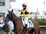 菜七子はＪＣウイークの東京開催で土日計１０鞍に騎乗
