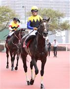 【神戸新聞杯】ヴェロックス３馬身差の２着に完敗　川田「サートゥルナーリアは本当に強い」