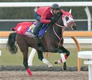 【有馬記念】夕刊フジ・調教チェッカーズ