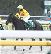 【東京新聞杯】昨年の覇者カラテは追い込むも３着まで　菅原明「きょうは切れ負けした感じです」
