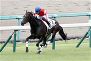 【２歳新馬】阪神５Ｒ　ロータスランドが大人の競馬でデビューＶ