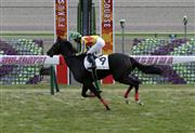 【新馬戦】デンタルバルーン、２馬身半差で完勝