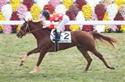 【２歳新馬】京都５Ｒ　１番人気レッドフラヴィアが４馬身差の圧勝Ｖ