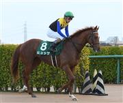【京成杯】ヒュッゲ３連勝で重賞初Ｖならず１０着　和田「これからの馬」