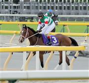 【ＮＨＫマイル】レシステンシア２着で桜花賞に続き勝利逃す　ルメール「牡馬を相手に頑張ってくれた」
