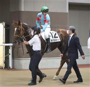 【日本ダービー】サリオス２着も着差は半馬身から３馬身に　レーン「一頭強いのがいた」