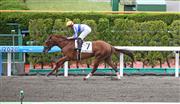 【函館６Ｒ・新馬】１番人気ルーチェドーロがレコードで７馬身差Ｖ！