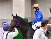 【新潟２歳Ｓ】１番人気のブルーシンフォニーは２着　田辺裕「最後の脚は勝った馬が上でした」
