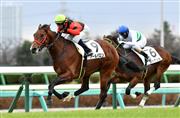 【中山５Ｒ・新馬】５番人気のアールバロンが２番手から抜け出し快勝