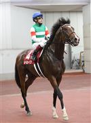 【京都新聞杯】シーザリオ産駒のルペルカーリアは２着　福永「強力な先行馬になると思います」
