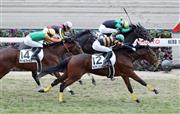 【３歳新馬】中京６Ｒ　キタサンシュガーＶ！サブちゃんキタサンブラック産駒で初勝利